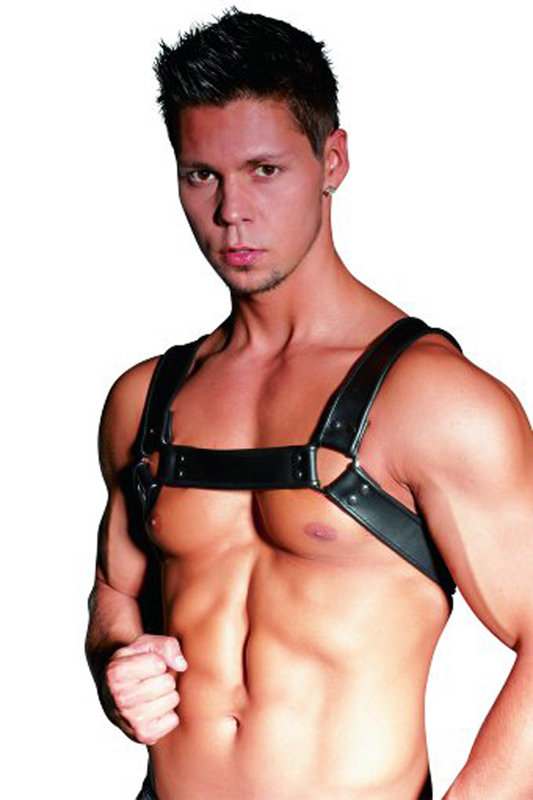 Leather Chest Harness 1