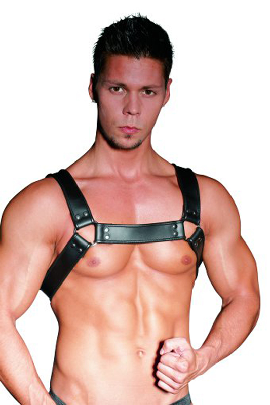 Leather Chest Harness 2