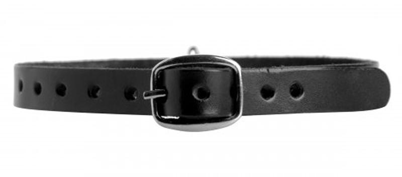 Strict Leather Halsband Met O-Ring 2