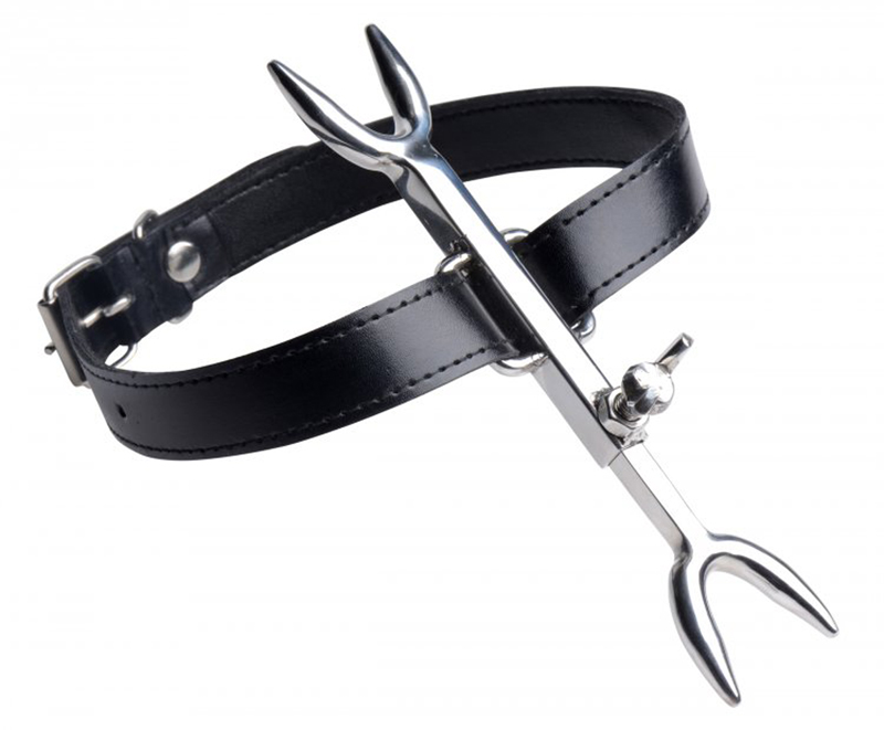 Heretic's Fork - BDSM Halsband 1